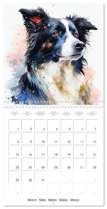 Artistic Dog Breeds (CALVENDO Monthly Calendar 2027)