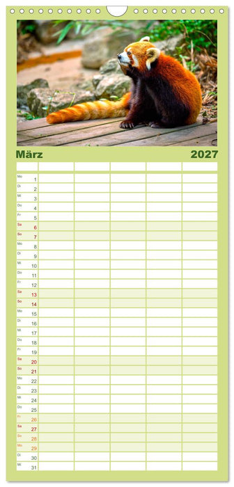 Bären - Pandas, Grizzlybären und Co. (CALVENDO Familienplaner 2027)