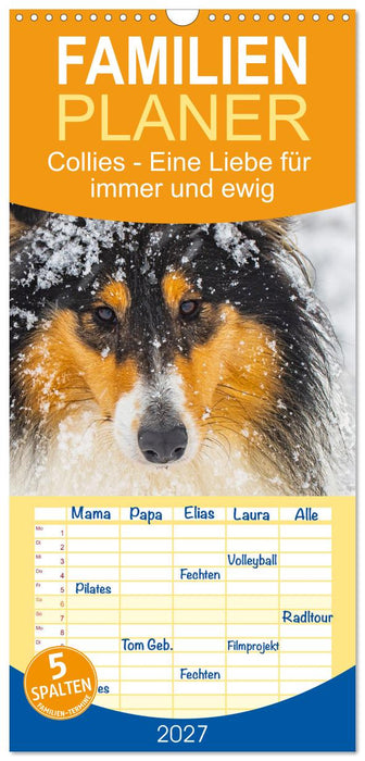 Collies - Eine Liebe für immer und ewig (CALVENDO Familienplaner 2027)
