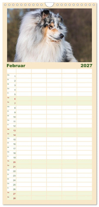 Collies - Eine Liebe für immer und ewig (CALVENDO Familienplaner 2027)