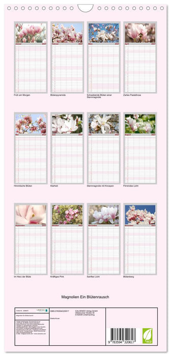 Magnolien Ein Blütenrausch (CALVENDO Familienplaner 2027)