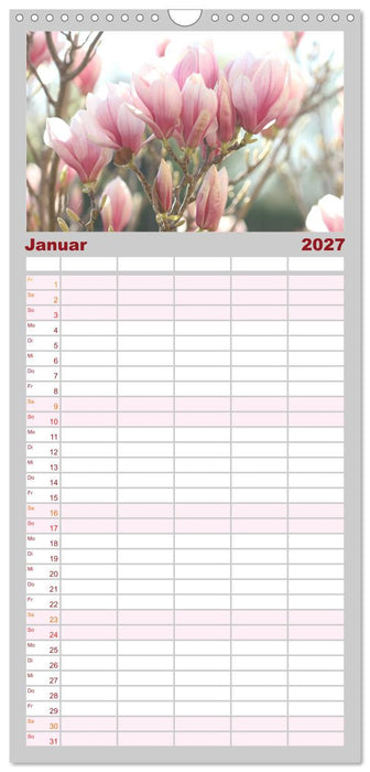 Magnolien Ein Blütenrausch (CALVENDO Familienplaner 2027)