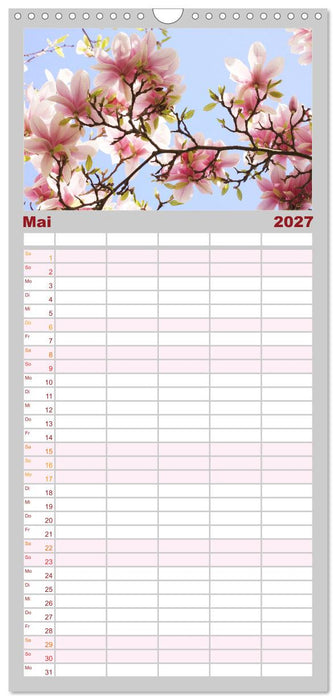 Magnolien Ein Blütenrausch (CALVENDO Familienplaner 2027)