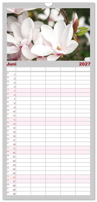 Magnolien Ein Blütenrausch (CALVENDO Familienplaner 2027)