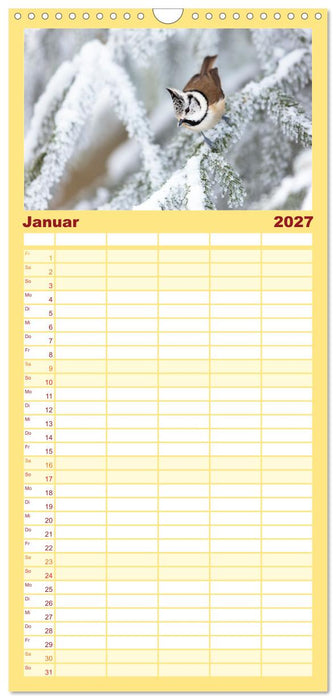 Tierische Begegnungen (CALVENDO Familienplaner 2027)
