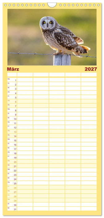 Tierische Begegnungen (CALVENDO Familienplaner 2027)