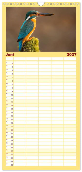 Tierische Begegnungen (CALVENDO Familienplaner 2027)