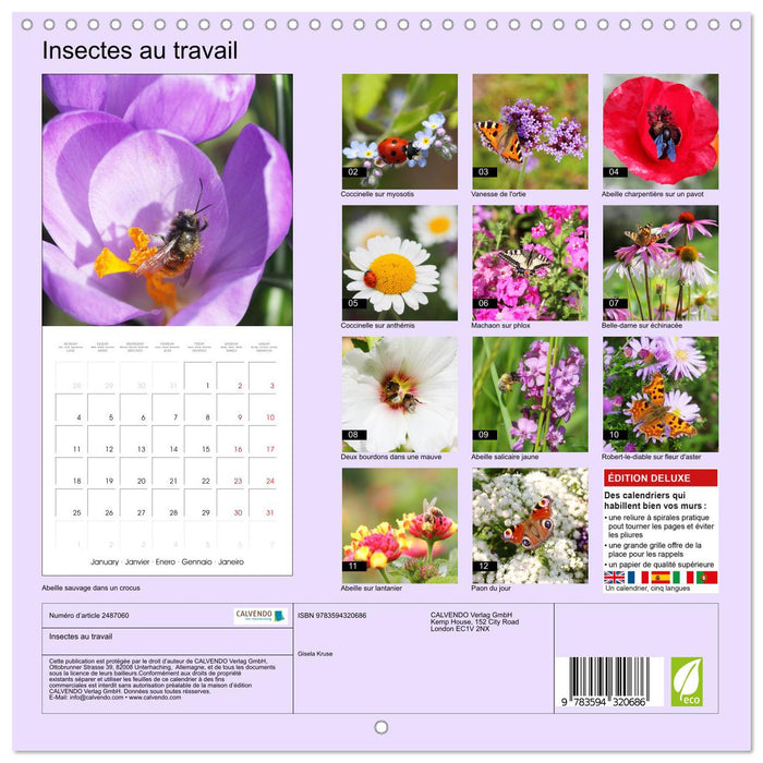 Insectes au travail (CALVENDO Calendrier mensuel 2027)