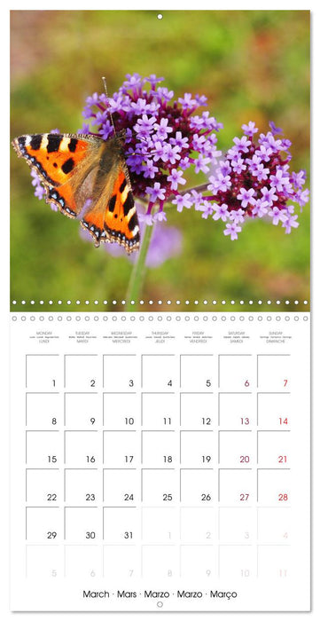 Insectes au travail (CALVENDO Calendrier mensuel 2027)
