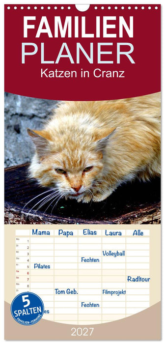 Katzen in Cranz (CALVENDO Familienplaner 2027)