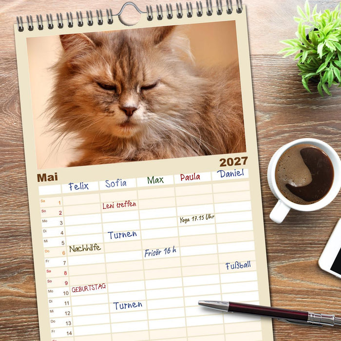 Katzen in Cranz (CALVENDO Familienplaner 2027)