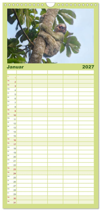 Costa Rica - Tropische Tierwelt (CALVENDO Familienplaner 2027)