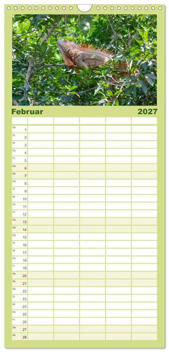 Costa Rica - Tropische Tierwelt (CALVENDO Familienplaner 2027)