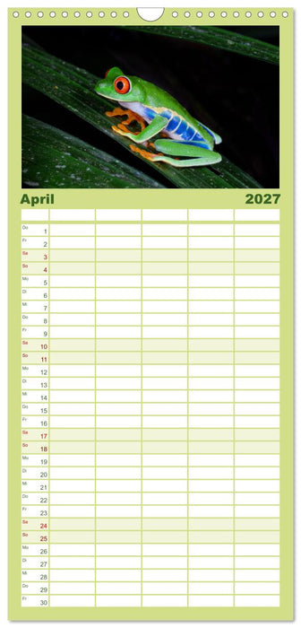 Costa Rica - Tropische Tierwelt (CALVENDO Familienplaner 2027)