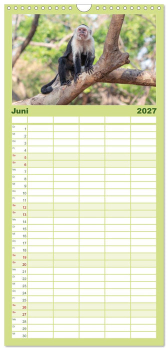 Costa Rica - Tropische Tierwelt (CALVENDO Familienplaner 2027)