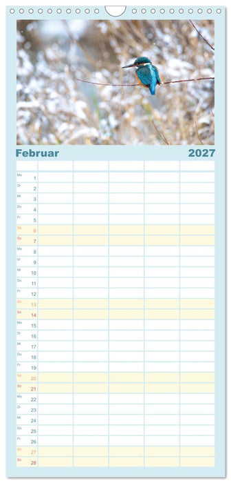 Eisvogel im Porträt (CALVENDO Familienplaner 2027)