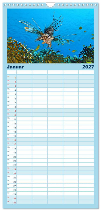 Abenteuer Riff - bunte Unterwasserwelt (CALVENDO Familienplaner 2027)