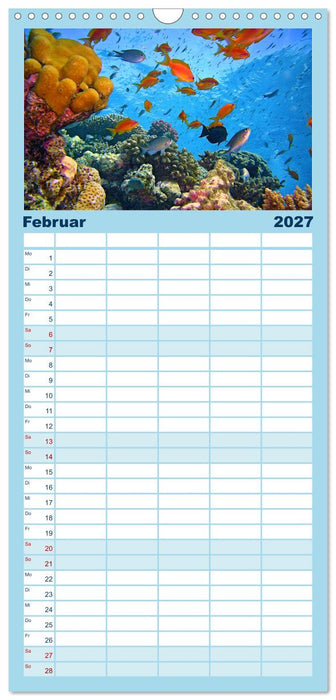 Abenteuer Riff - bunte Unterwasserwelt (CALVENDO Familienplaner 2027)