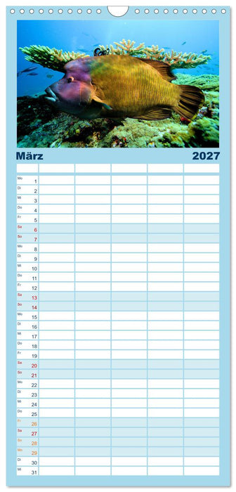 Abenteuer Riff - bunte Unterwasserwelt (CALVENDO Familienplaner 2027)