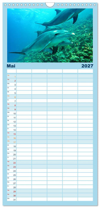 Abenteuer Riff - bunte Unterwasserwelt (CALVENDO Familienplaner 2027)