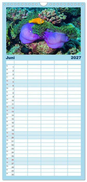 Abenteuer Riff - bunte Unterwasserwelt (CALVENDO Familienplaner 2027)