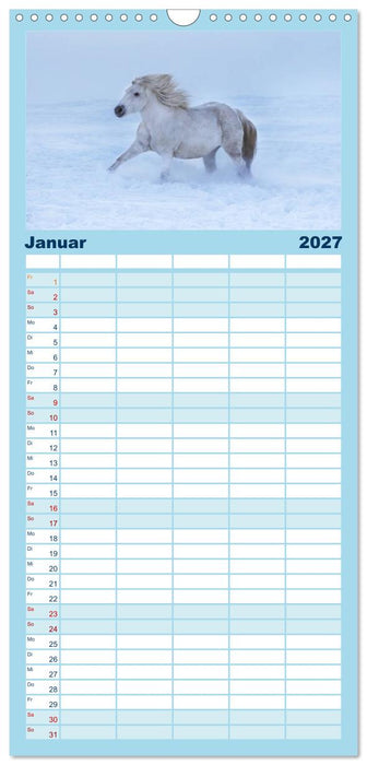 Weiße Pferde der Camargue in Bayern (CALVENDO Familienplaner 2027)