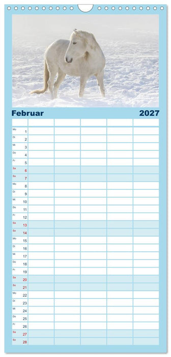 Weiße Pferde der Camargue in Bayern (CALVENDO Familienplaner 2027)