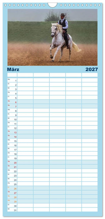 Weiße Pferde der Camargue in Bayern (CALVENDO Familienplaner 2027)