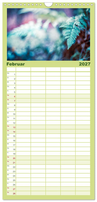 Farne vom Licht umtanzt (CALVENDO Familienplaner 2027)