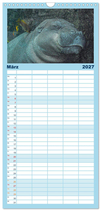Nilpferde, Kolosse in Afrika (CALVENDO Familienplaner 2027)
