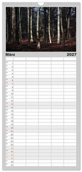 Mystische Wälder (CALVENDO Familienplaner 2027)