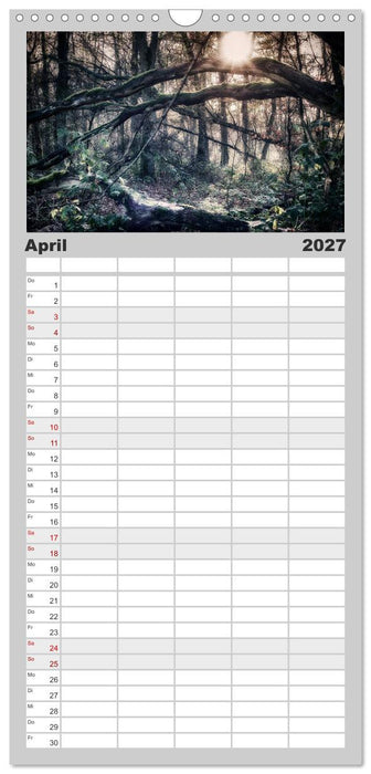 Mystische Wälder (CALVENDO Familienplaner 2027)