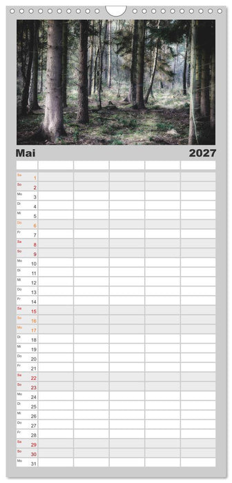 Mystische Wälder (CALVENDO Familienplaner 2027)