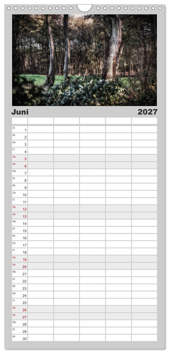 Mystische Wälder (CALVENDO Familienplaner 2027)