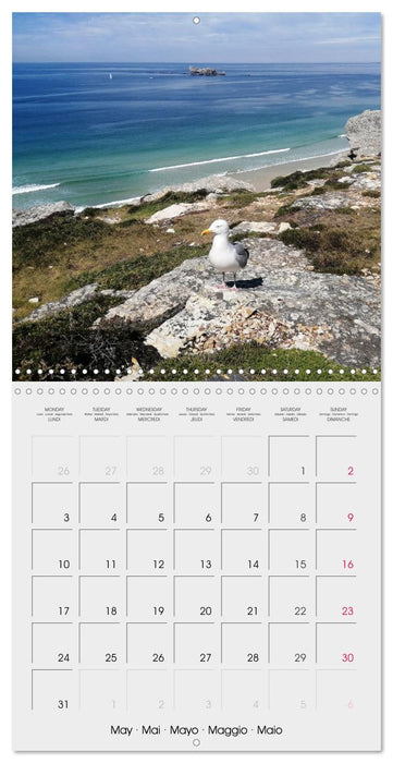 Balade en Finistère (CALVENDO Calendrier mensuel 2027)