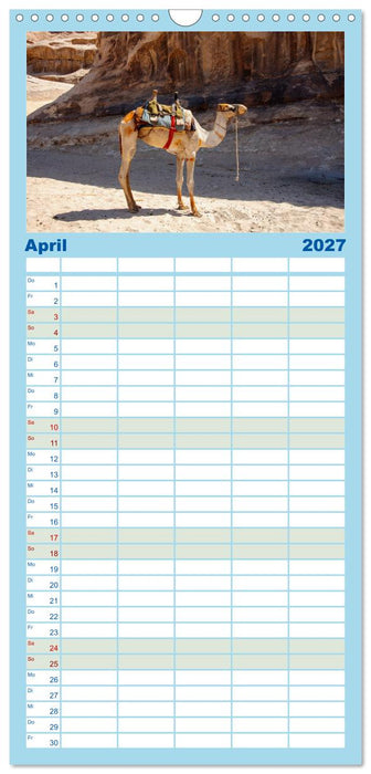 Urlaubsgefühle - mit Dromedaren unterwegs (CALVENDO Familienplaner 2027)