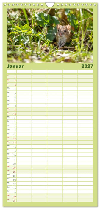 Mäusetanz (CALVENDO Familienplaner 2027)