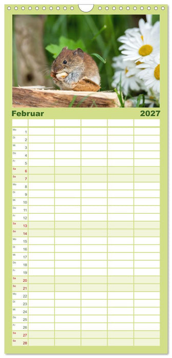Mäusetanz (CALVENDO Familienplaner 2027)