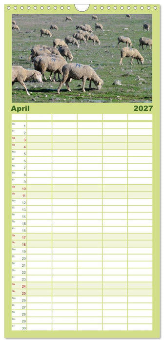 Extremadura Spanien (CALVENDO Familienplaner 2027)