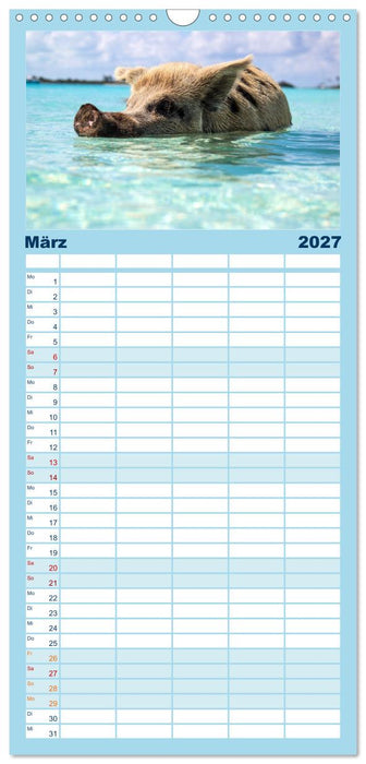 Bahamas - Paradiesische Strände. (CALVENDO Familienplaner 2027)