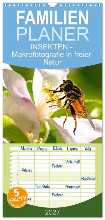 INSEKTEN - Makrofotografie in freier Natur (CALVENDO Familienplaner 2027)