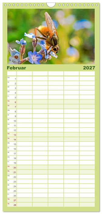 INSEKTEN - Makrofotografie in freier Natur (CALVENDO Familienplaner 2027)
