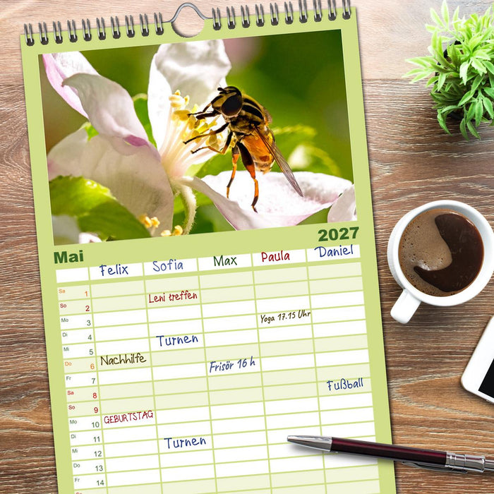 INSEKTEN - Makrofotografie in freier Natur (CALVENDO Familienplaner 2027)