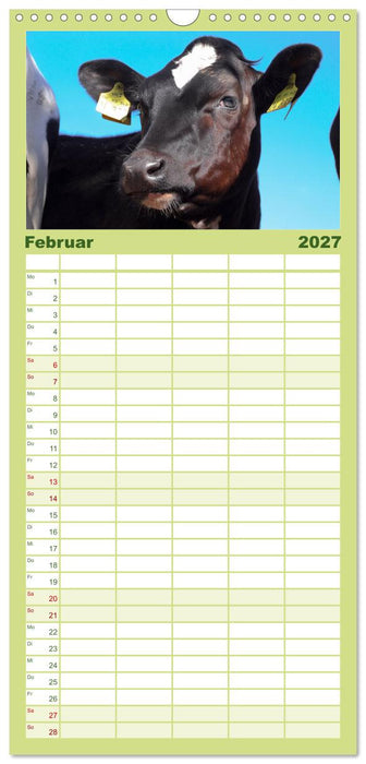 Die Kuh macht Muuuh! (CALVENDO Familienplaner 2027)