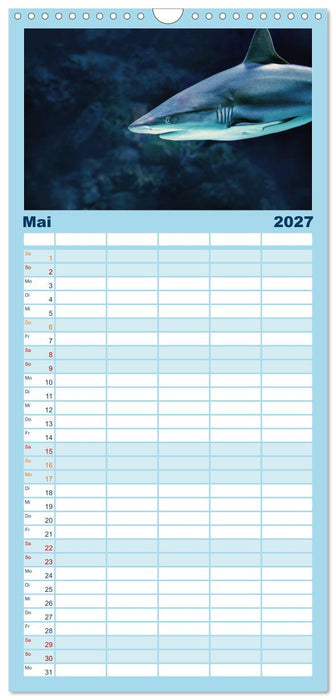 Haie - Könige der Meere. (CALVENDO Familienplaner 2027)