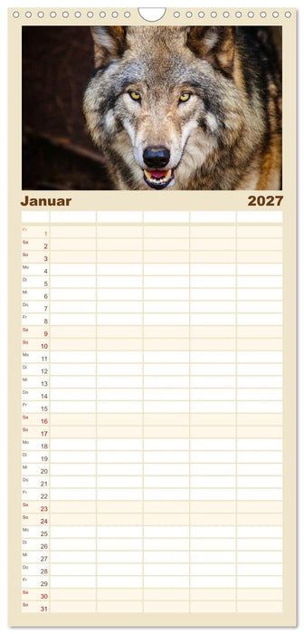 Begegnung mit dem Wolf (CALVENDO Familienplaner 2027)
