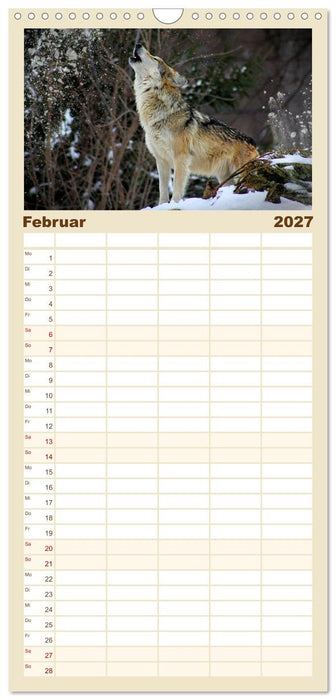 Begegnung mit dem Wolf (CALVENDO Familienplaner 2027)