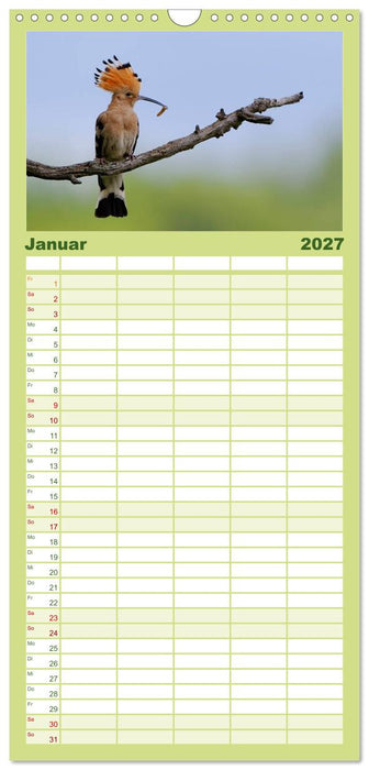 Wiedehopf (CALVENDO Familienplaner 2027)