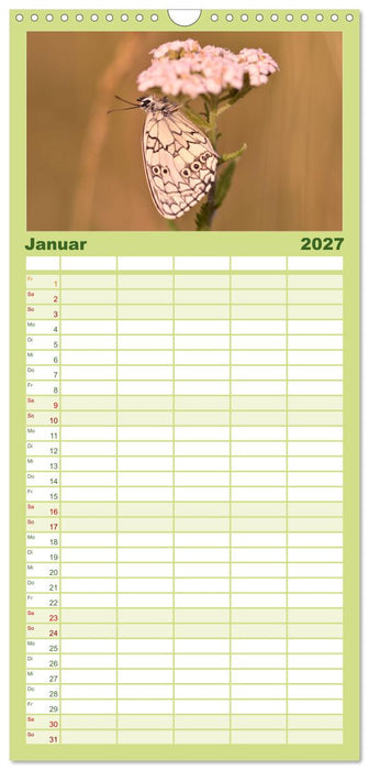 Schmetterlinge. Schimmernde Zauberwesen (CALVENDO Familienplaner 2027)
