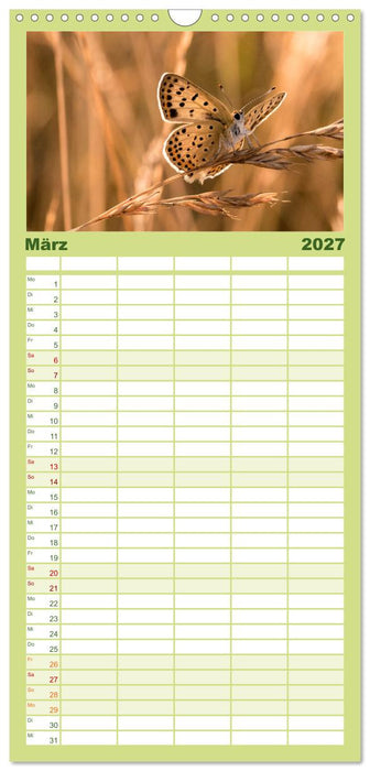 Schmetterlinge. Schimmernde Zauberwesen (CALVENDO Familienplaner 2027)